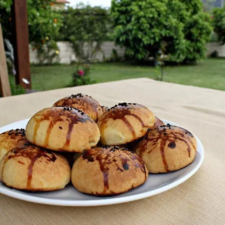 فندق أريون